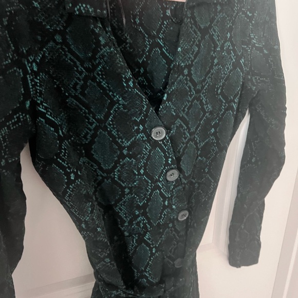 Zara Green Snake Print Long Sleeve Dress - Picture 5 of 10